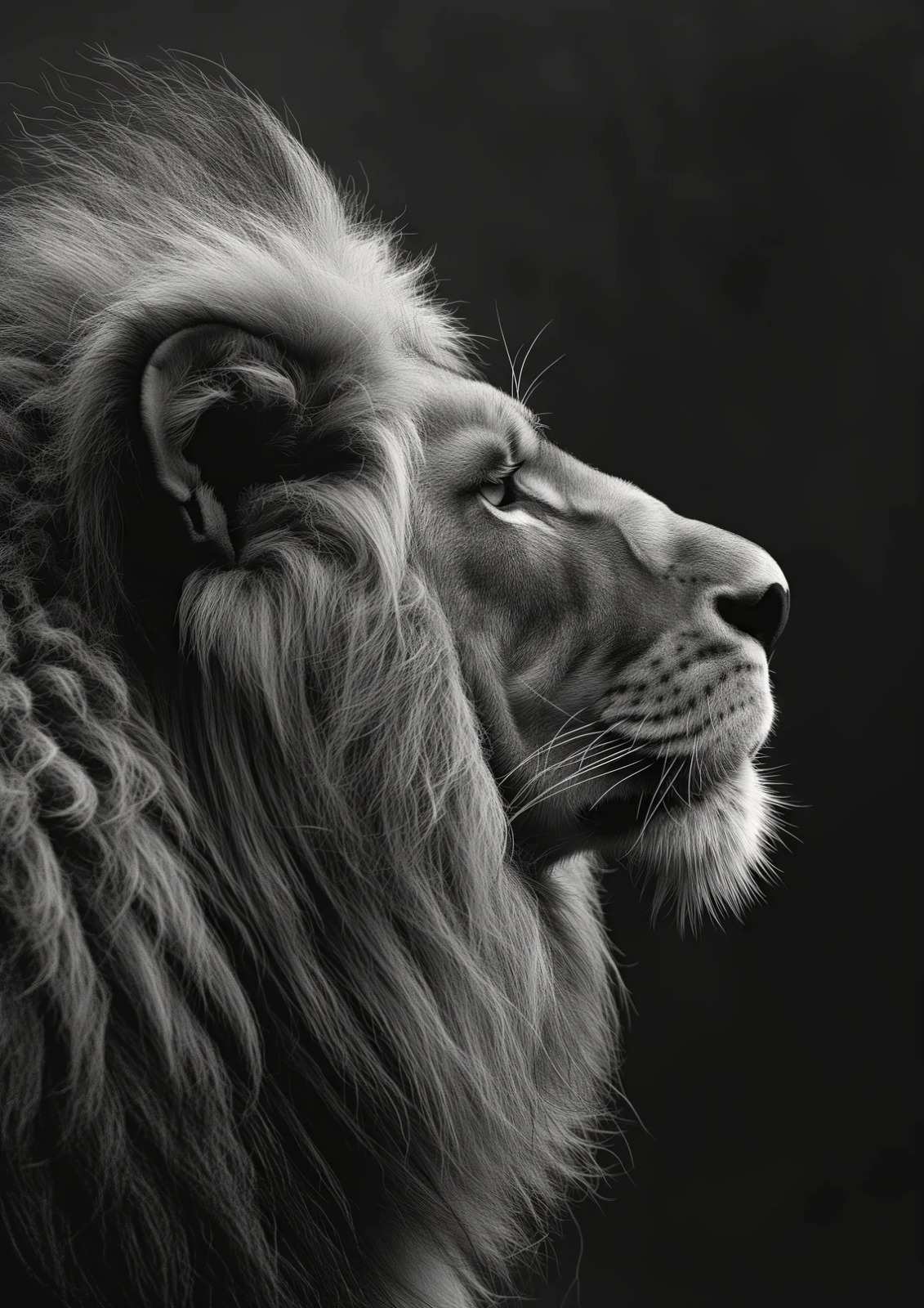 Lion Room Detail Image